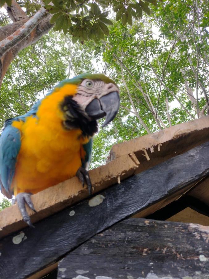 Hotel Alto Amazonas Leticia Ngoại thất bức ảnh