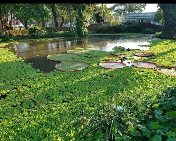 Hotel Alto Amazonas Leticia Ngoại thất bức ảnh